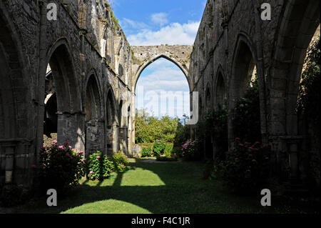 Abbaye de Beauport,le rovine della cappella,Paimpol,Cotes-d'Armor,Bretagne,Brittany,Francia Foto Stock