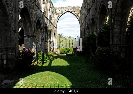 Abbaye de Beauport,le rovine della cappella,Paimpol,Cotes-d'Armor,Bretagne,Brittany,Francia Foto Stock