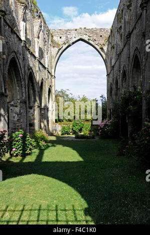 Abbaye de Beauport,le rovine della cappella,Paimpol,Cotes-d'Armor,Bretagne,Brittany,Francia Foto Stock