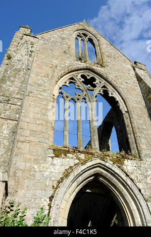 Abbaye de Beauport,le rovine della cappella,Paimpol,Cotes-d'Armor,Bretagne,Brittany,Francia Foto Stock