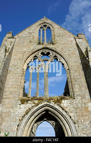 Abbaye de Beauport,le rovine della cappella,Paimpol,Cotes-d'Armor,Bretagne,Brittany,Francia Foto Stock