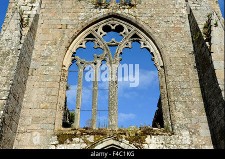 Abbaye de Beauport,le rovine della cappella,Paimpol,Cotes-d'Armor,Bretagne,Brittany,Francia Foto Stock