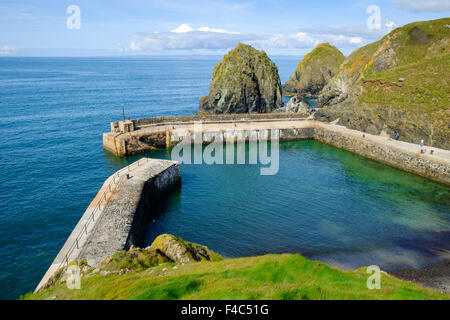 Porto pareti a Mullion Cove, Mullion, penisola di Lizard, Cornwall, Regno Unito Foto Stock