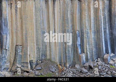 Colonne di basalto vicino a cascata Aldeyjarfoss Islanda Foto Stock