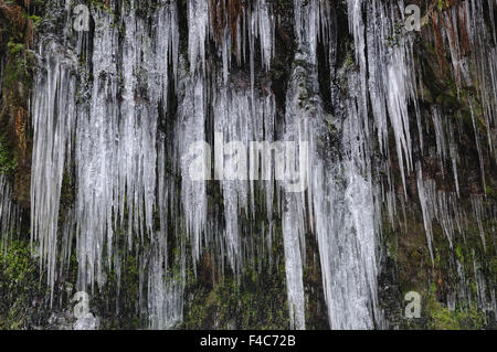 Ghiaccioli sulla parete di roccia Foto Stock