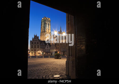 San Rumbold la cattedrale e la Torre (1200-1520) in Mechelen, Belgio Foto Stock