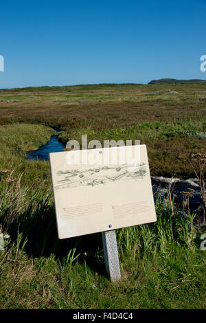 Canada, Terranova, L'Anse aux Meadows National Historic Site. Solo noto sito Viking in Nord America. Sito effettivo di Viking resti di tre sale e degli edifici. UNESCO. (Grandi dimensioni formato disponibile) Foto Stock