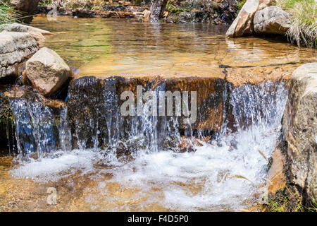 L'acqua che scorre su di una piccola cascata in un flusso, Crowden Clough, vale di Edale, Derbyshire, Peak District, England, Regno Unito Foto Stock