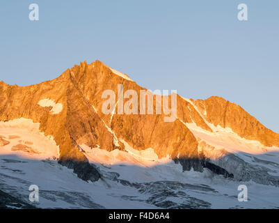 Reichenspitz gamma della montagna nelle Alpi dello Zillertal in Nationalpark Hohe Tauern. sunrise. Wild-Gerlos Spitze. Austria, Tirolo. (Grandi dimensioni formato disponibile) Foto Stock