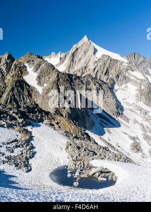 Reichenspitz gamma della montagna nelle Alpi dello Zillertal in Nationalpark Hohe Tauern. Gabler e Reichen Spitze. Austria, Tirolo. (Grandi dimensioni formato disponibile) Foto Stock