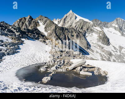 Reichenspitz gamma della montagna nelle Alpi dello Zillertal in Nationalpark Hohe Tauern. Gabler e Reichen Spitze. Austria, Tirolo. (Grandi dimensioni formato disponibile) Foto Stock