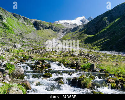 Reichenspitz gamma della montagna nelle Alpi dello Zillertal in Nationalpark Hohe Tauern. Valley Wildgerlos con Mt Reichenspitze e Gabler. Austria, Tirolo. (Grandi dimensioni formato disponibile) Foto Stock