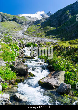 Reichenspitz gamma della montagna nelle Alpi dello Zillertal in Nationalpark Hohe Tauern. Valley Wildgerlos con Mt Reichenspitze e Gabler. Austria, Tirolo. (Grandi dimensioni formato disponibile) Foto Stock