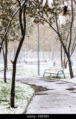 Prima neve nel parco della città nei giorni di autunno Foto Stock