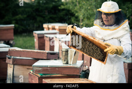 Donna, cappello di apicoltore o controllo della struttura in legno su  terreni coltivati a miele, agricoltura sostenibile o fattoria alimentare  sana. Sorridere, felice o contadino con l'alveare Foto stock - Alamy