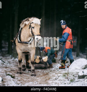 Uomo in piedi accanto a cavallo Foto Stock
