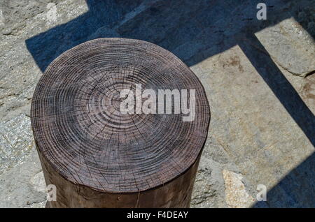 Primo piano immagine di un vecchio albero tronco con il suo anello annuale. Foto Stock