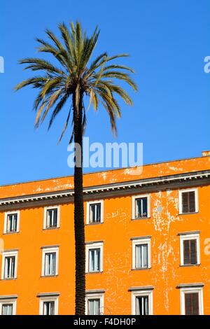 Palm Tree e giallo ocra edificio contro un luminoso cielo blu a Roma Italia Foto Stock