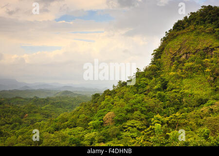 Foresta di pioggia sotto il Cerro la Vieja (Superiore destro) in Chiguiri Arriba, Cordillera Central, Cocle Affitto provincia, Repubblica di Panama. Foto Stock