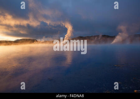 La luce del tramonto sullo streaming bocchette geotermica presso Bjarnarflag, Myvatn, Nordhurland Eystra, Islanda. Foto Stock