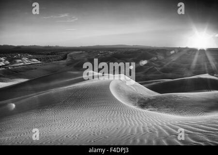 Tramonto su un stark in bianco e nero il paesaggio del deserto, sabbia con onde di texture in the imperial dune di sabbia vicino a Yuma in Arizona. Foto Stock