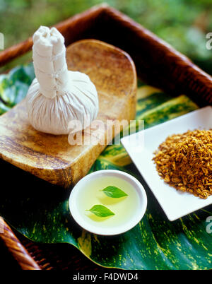 Ingredienti per una pappa caldo massaggio. Le foglie di basilico in olio di semi di uva e impiastro.Riviera Maya,Yucatan, Messico. Foto Stock