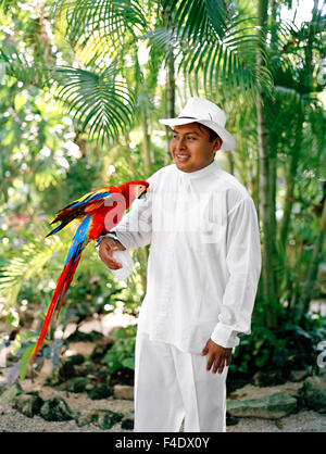 Un messicano membro dello staff detiene un macaw pappagallo prima del suo tempo di alimentazione al Maroma Spa e Resort. Riviera Maya,Yucatan, Messico Foto Stock