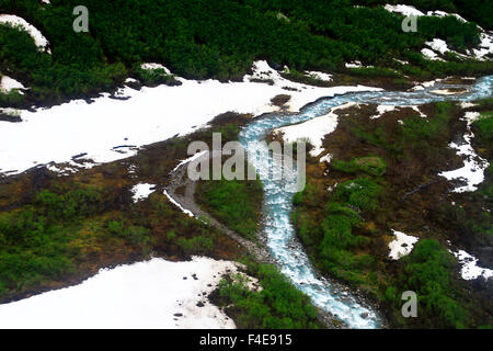 Vista aerea del Tongass National Forest di Juneau in Alaska, sulla strada per il Mendenhall Glacier Foto Stock