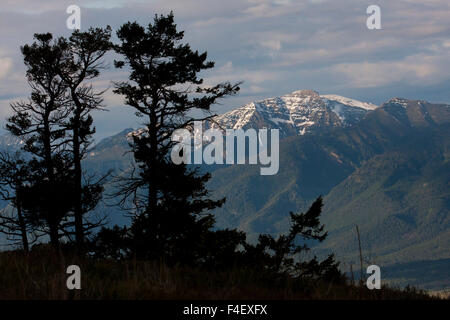 Gamma di bisonte National Wildlife Refuge, montagne di missione Foto Stock