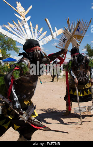 Stati Uniti d'America, Utah, Bluff. White Mountain Apache ballerini di corona a Utah Navajo Fair Elder Fest. Foto Stock