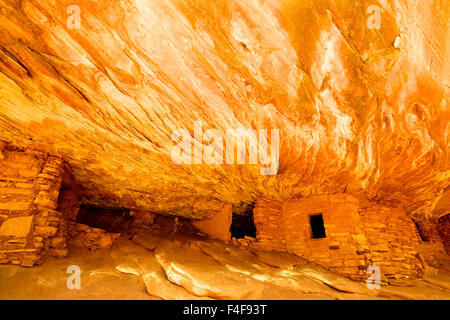 La forcella del sud di Mule Canyon's House on Fire rovina è uno dei più spettacolari rovine Anasazi sulla Utah's Cedar Mesa. Si trova a circa 2 km a piedi da Utah Highway 95, ad ovest di Blanding. (Grandi dimensioni formato disponibile) Foto Stock