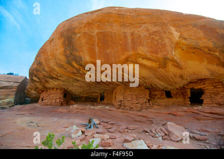 La forcella del sud di Mule Canyon's House on Fire rovina è uno dei più spettacolari rovine Anasazi sulla Utah's Cedar Mesa. Si trova a circa 2 km a piedi da Utah Highway 95, ad ovest di Blanding. (Grandi dimensioni formato disponibile) Foto Stock