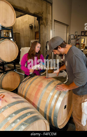 Stati Uniti d'America, Washington, Woodinville. Cantina dei lavoratori al di sopra della pompa il mosto durante la sbandata in una cantina a Woodinville, Washington. Foto Stock