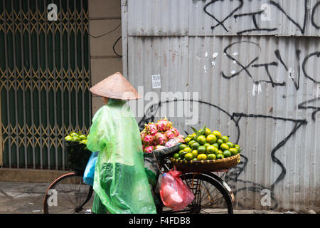 Signora vietnamita vende frutta fresca dalla sua bicicletta nel quartiere vecchio di Hanoi,città capitale del Vietnam,Asia Foto Stock