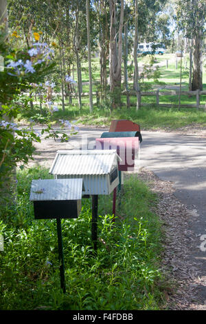 Cassette postali su remoto paese road Hunter Valley NSW Australia Foto Stock