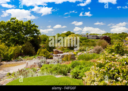 Il giardino di roccia presso i Giardini Botanici Nazionali del Galles, Carmarthenshire, Wales, Regno Unito Foto Stock