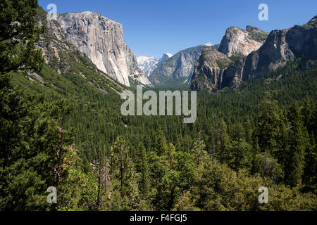 Vista nella Yosemite Valley dalla vista di tunnel, El Capitan sinistra, Yosemite National Park, California, Stati Uniti d'America Foto Stock