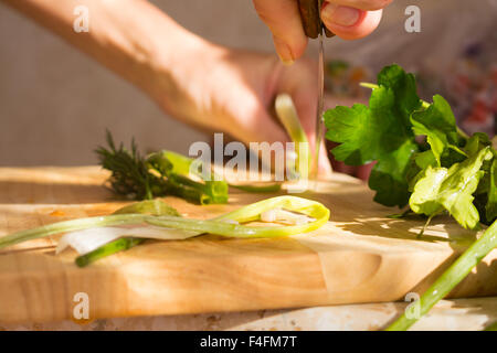 Il prezzemolo e l'aneto sul tagliere di legno. Preparazione di insalata di verdure e ortaggi freschi/insalata fresca con olio d'oliva Foto Stock