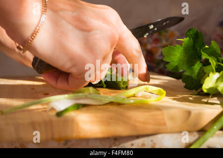 Il prezzemolo e l'aneto sul tagliere di legno. Preparazione di insalata di verdure e ortaggi freschi/insalata fresca con olio d'oliva Foto Stock