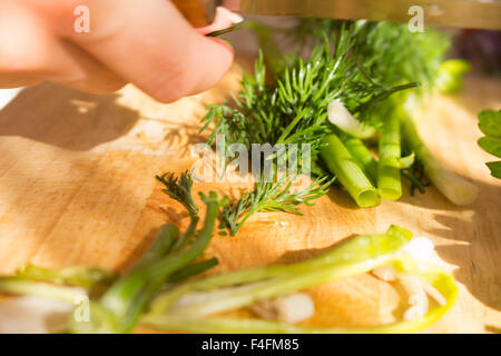 Il prezzemolo e l'aneto sul tagliere di legno. Preparazione di insalata di verdure e ortaggi freschi/insalata fresca con olio d'oliva Foto Stock