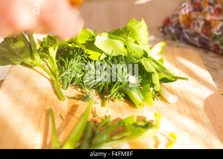 Il prezzemolo e l'aneto sul tagliere di legno. Preparazione di insalata di verdure e ortaggi freschi/insalata fresca con olio d'oliva Foto Stock