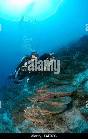 Coppia giovane sub nuota vicino alla barriera corallina, Oceano Indiano, Maldive Foto Stock