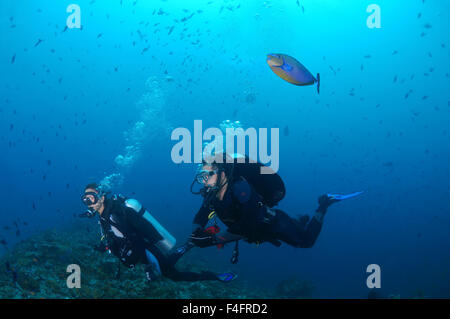 Donna sub nuota vicino alla barriera corallina, unicornfish allungato (Naso lopezi) galleggia sopra la sua testa e il suo sopravazhdaya glatat bolla Foto Stock