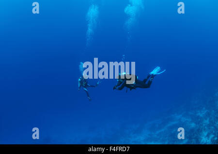 Coppia giovane divers nuoto nella colonna d'acqua, l'Oceano Indiano, Maldive Foto Stock