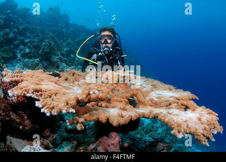 Oceano Indiano, Maldive. 26 Sep, 2015. Giovane donna diver guardando al Coral, Oceano Indiano, Maldive © Andrey Nekrasov/ZUMA filo/ZUMAPRESS.com/Alamy Live News Foto Stock