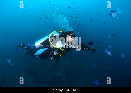 Oceano Indiano, Maldive. 23 Sep, 2015. Coppia giovane sub nuota in una scuola di pesce gioca con loro, rosso-dentata pesci balestra (Odonus niger), l'Oceano Indiano, Maldive © Andrey Nekrasov/ZUMA filo/ZUMAPRESS.com/Alamy Live News Foto Stock