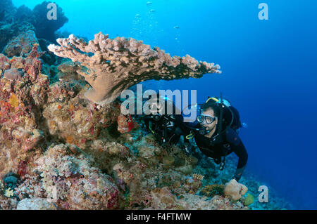 Oceano Indiano, Maldive. 26 Sep, 2015. Coppia giovane guardando al Coral Divers, Oceano Indiano, Maldive © Andrey Nekrasov/ZUMA filo/ZUMAPRESS.com/Alamy Live News Foto Stock