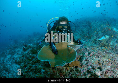 Oceano Indiano, Maldive. 23 Sep, 2015. Giovane donna diver guarda insolito corallo, Oceano Indiano, Maldive © Andrey Nekrasov/ZUMA filo/ZUMAPRESS.com/Alamy Live News Foto Stock