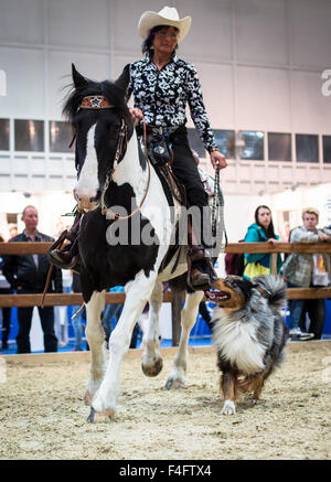 Dortmund, Germania. Xvi oct, 2015. Una donna corse Tinker Pinto cavallo durante la fiera "Hund & Pferd' (lit. Cane e Cavallo) di Dortmund in Germania, 16 ottobre 2015. La fiera che corre dal 16 al 18 Ottobre 2015 comprende eventi quali la International Dog Show. Foto: MAJA HITIJ/dpa/Alamy Live News Foto Stock