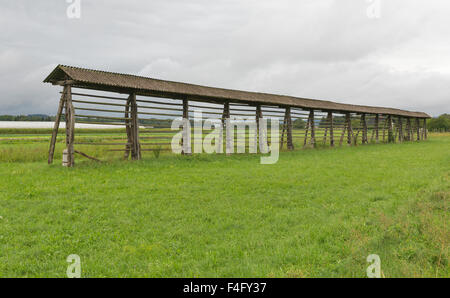 Legno vecchio capannone per il fieno in Slovenia Foto Stock